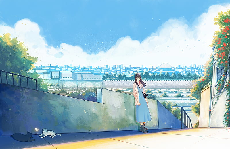 anime girl, cats, cityscape, slice of life, Anime, HD wallpaper
