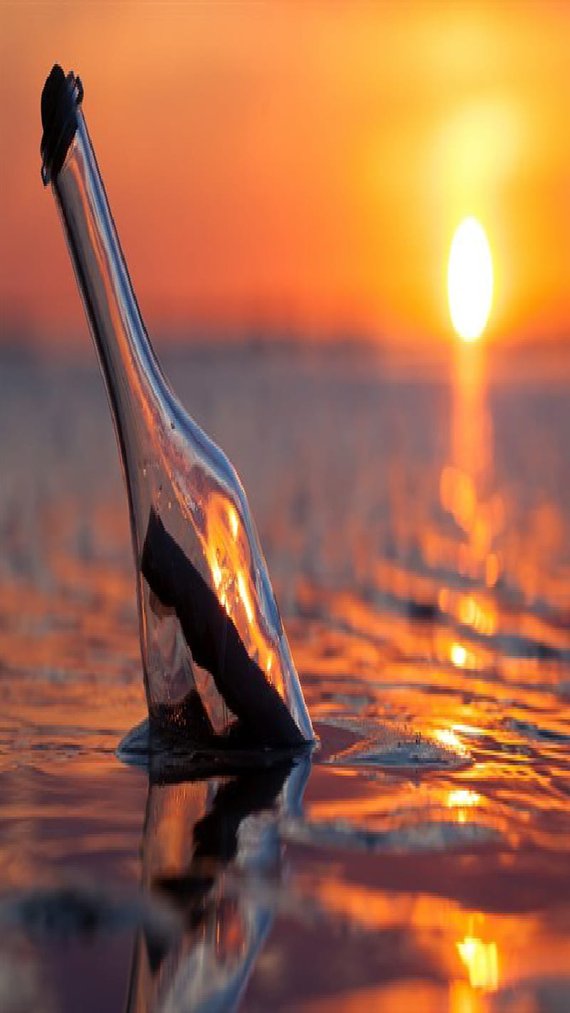 1920x1080px 1080p Free Download Message In A Bottle Message Sunset