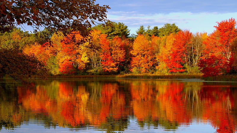 Autumn scenery, Lake, Trees, Autumn, Colorful, HD wallpaper | Peakpx