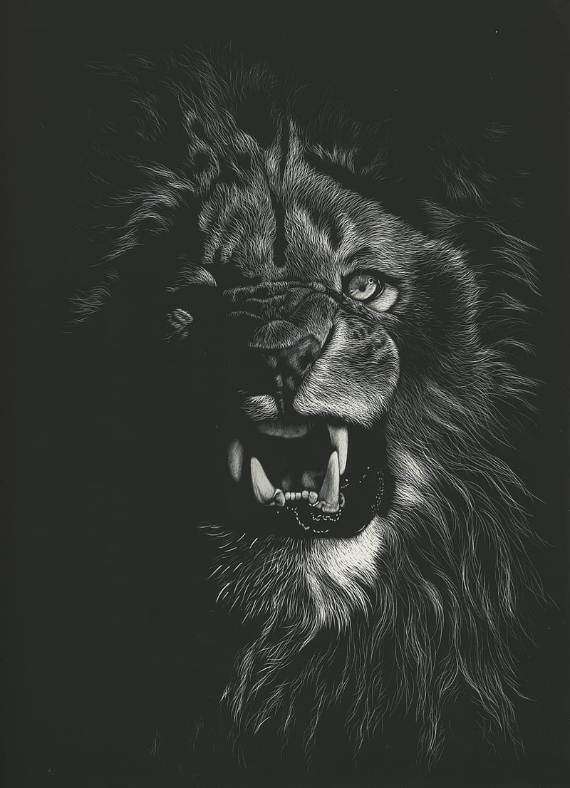 lion, grin, art, bw, drawing, HD phone wallpaper