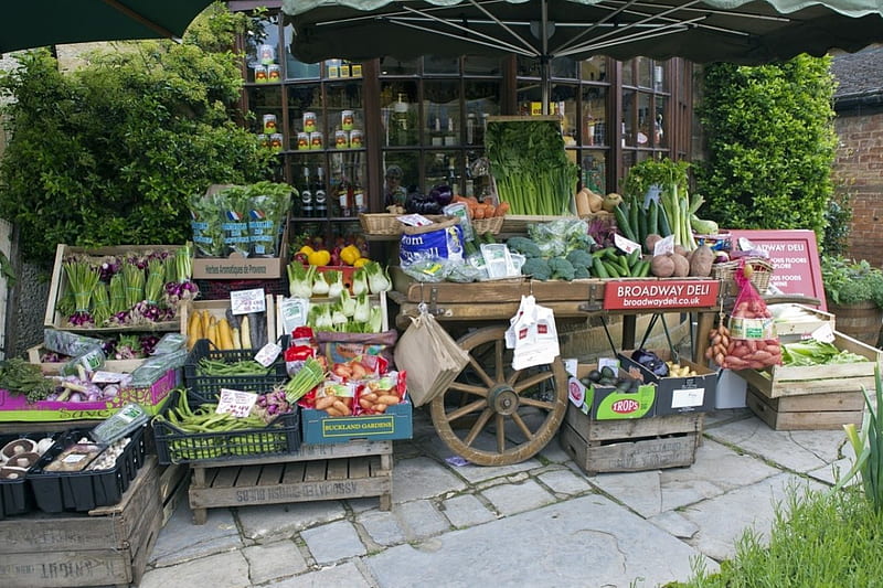 Green grocers handcart, vegatable, groovery, handcart, plants, umbrella, store, HD wallpaper