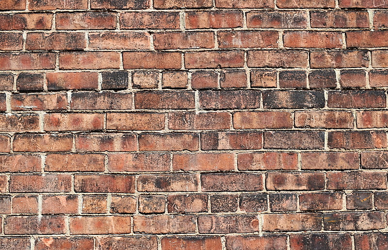 bricks, wall, brick wall, surface, texture, HD wallpaper