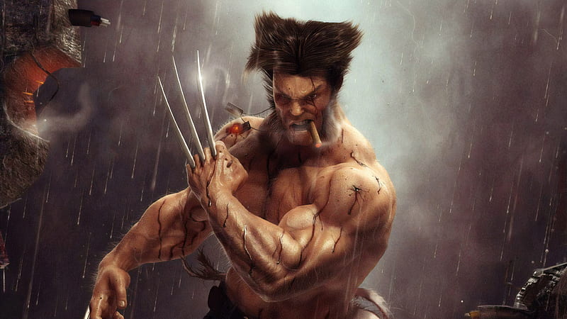 Wolverine artwork, wolverine, superheroes, artwork, artstation, HD wallpaper