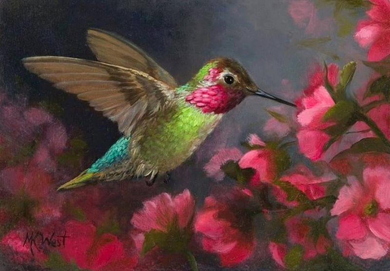 Abstract Hummingbird Wallpapers  Top Free Abstract Hummingbird Backgrounds   WallpaperAccess