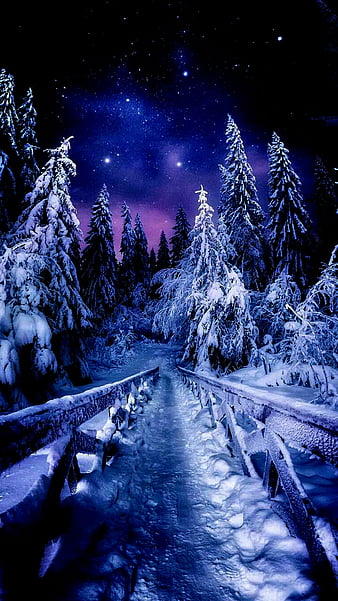 Night Winter Road - IPhone Wallpapers : iPhone Wallpapers