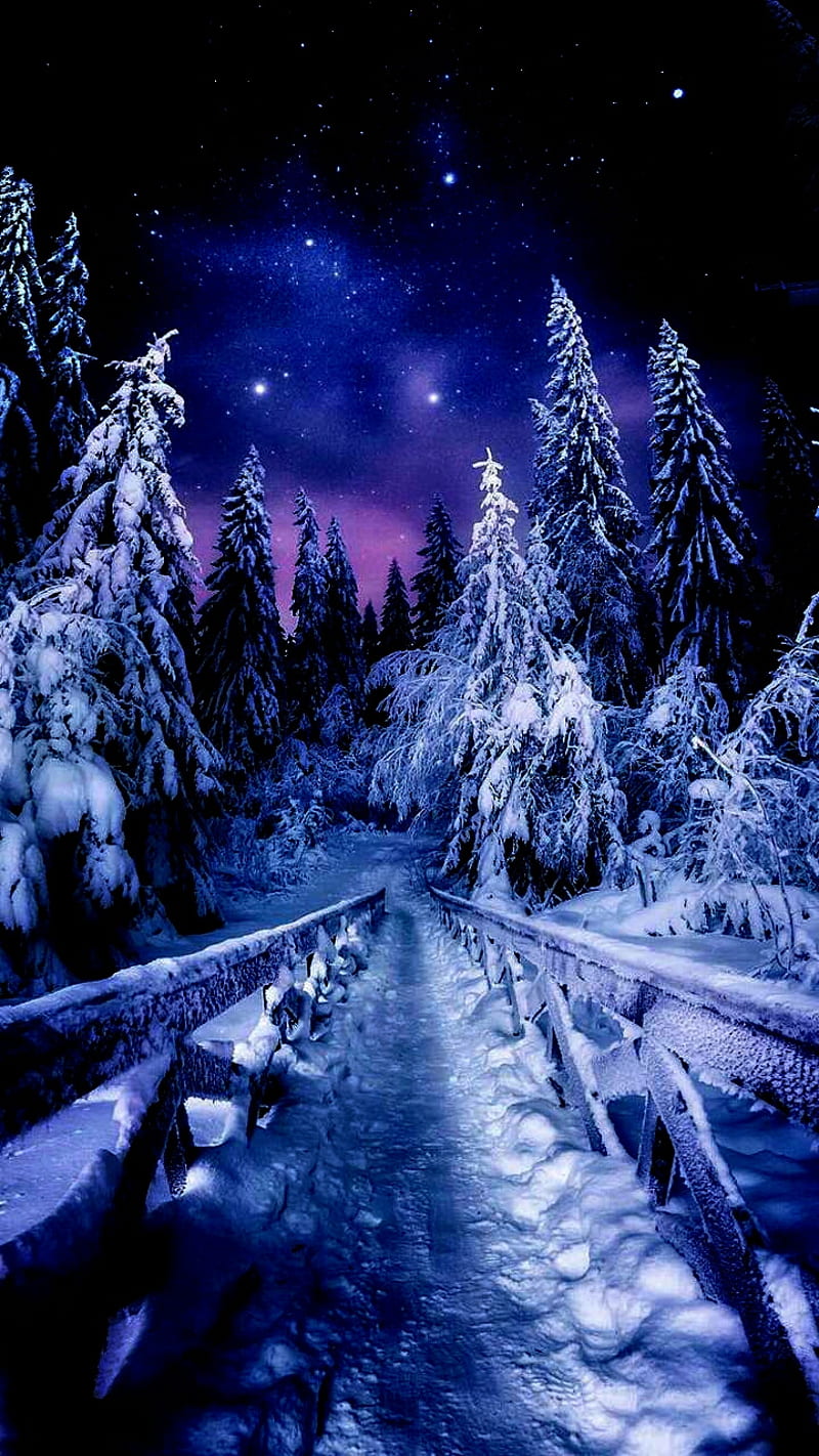 Snow Night, beauty, dark, natural, purple, sky, winter, winter is here, HD phone wallpaper