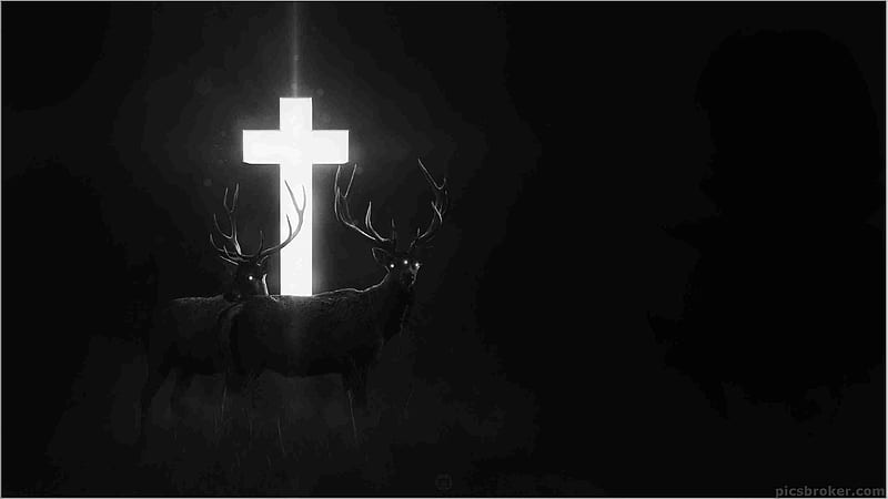 Deers Are Standing Near White Cross In A Black Background Cross, HD wallpaper