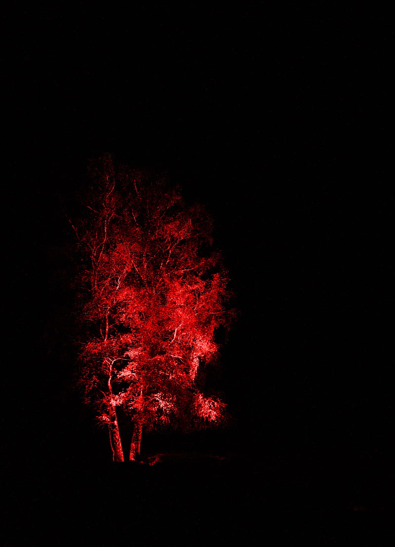 wood, backlight, red, dark, HD phone wallpaper