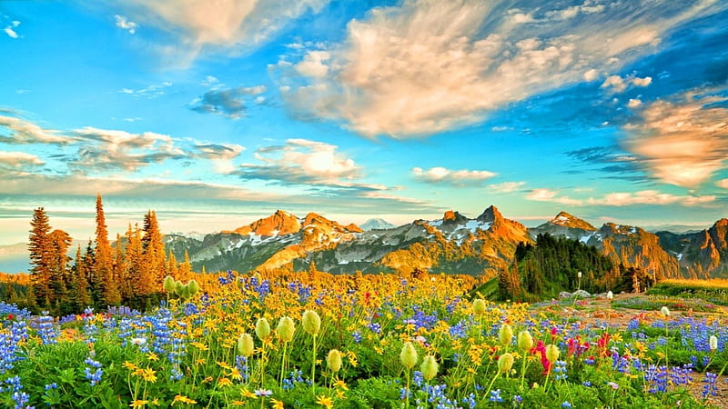 Flowery Mountain, mountain, grass, flowers, nature, clouds, HD wallpaper