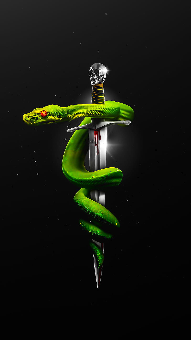 Snake n Dagger, symbol, art, HD phone wallpaper