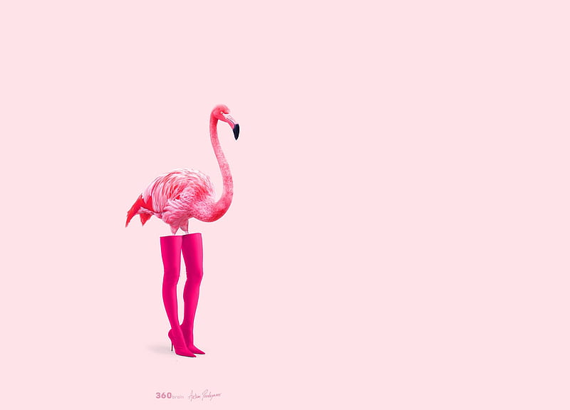 Flaminciaga, bird, boots, flamingo, pink, creative, shoes, artem  pozdnyakov, HD wallpaper | Peakpx