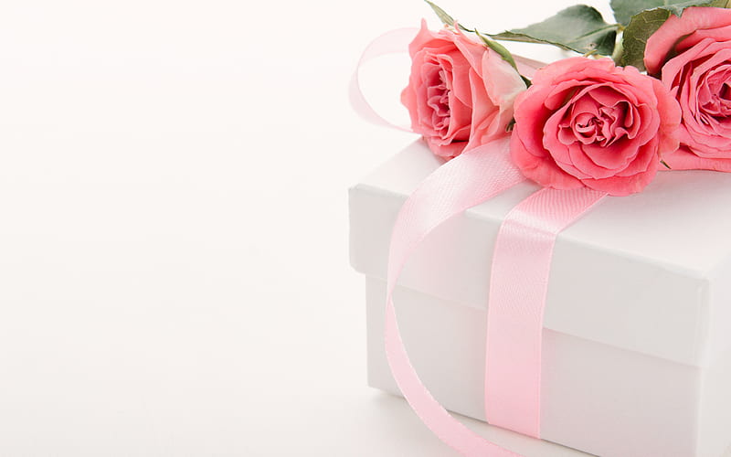 Pink roses, gift box with pink silk bow, roses, beautiful bouquet, gift on  a white background, HD wallpaper | Peakpx