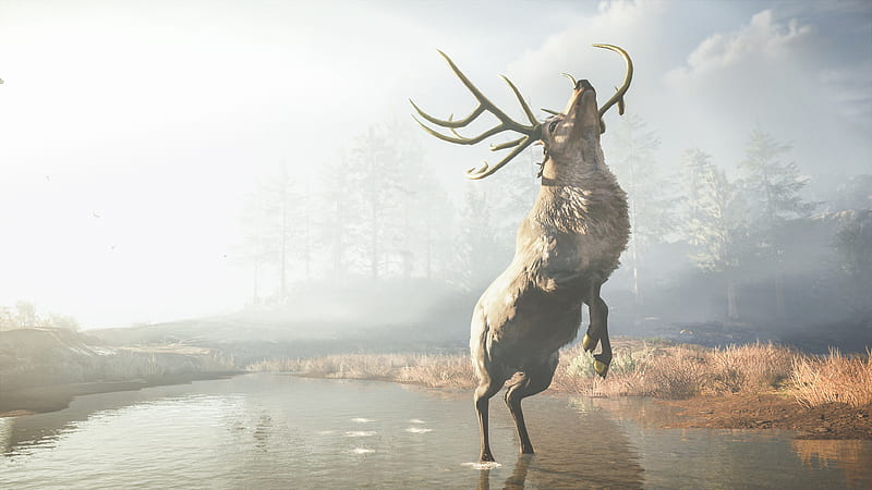 Assassins Creed Odyssey Reindeer , assassins-creed-odyssey, assassins-creed, 2018-games, games, reindeer, HD wallpaper