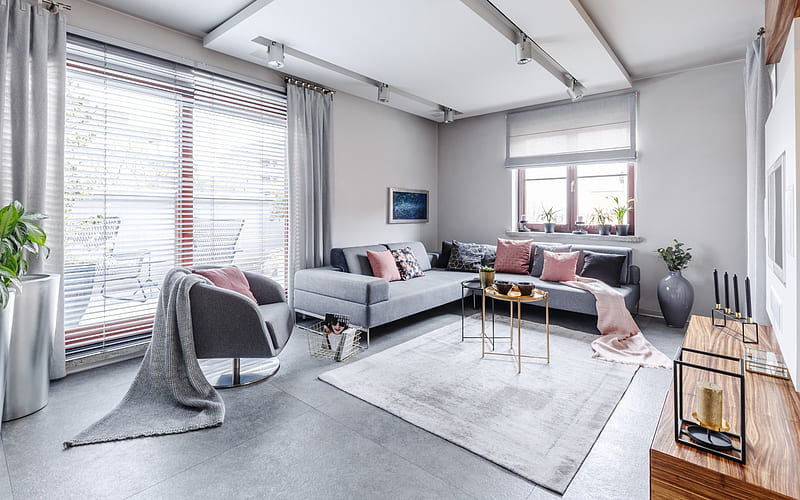 stylish gray living room interior, modern interior design, living room, gray sofa, HD wallpaper