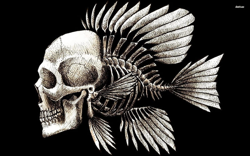 Disturbing, human, fish, body, skull, skelton, HD wallpaper