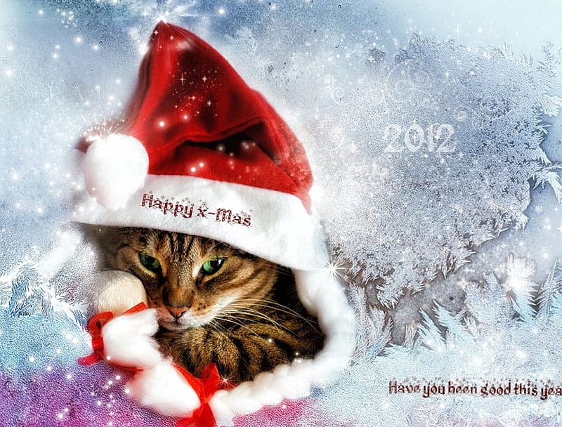 Have you been good this year ?, red clothes, merry christmas, snow, drezdany art, have you been good this year, cat, HD wallpaper