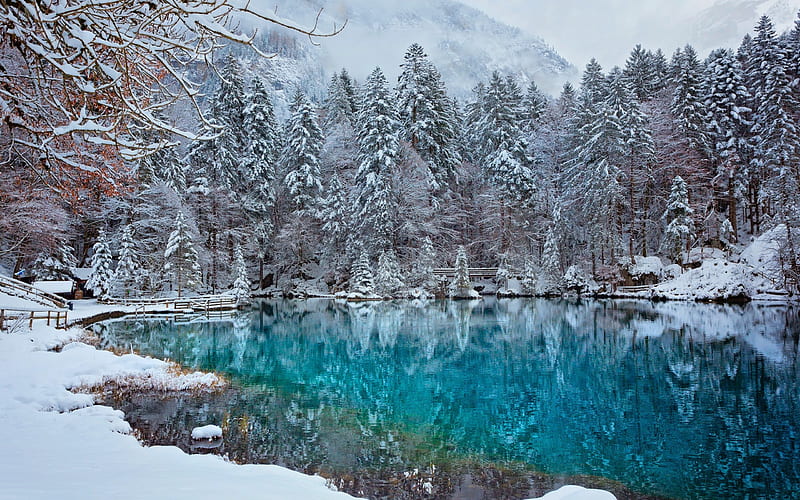 glacial lake, winter, mountain landscape, Alps, forest, snow, Kander Valley, Switzerland, HD wallpaper