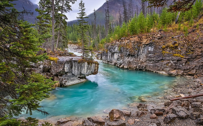 mountain blue river, forest, mountain landscape, British Columbia, Canada, Kootenay National Park, Tokumm Creek, Canadian Rockies, HD wallpaper