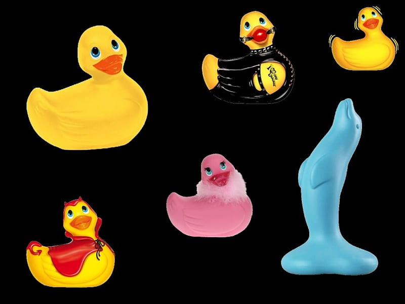 Ducks VS Dolphin, sensual, stunning, ducks, yellow, adorable, nice, colored, art, lovely, birds, toy, black, collage, sexy, abstract, cute, water, cool, awesome, eyes, red, colorful, bonito, elegant, animal, graphy, duck, hot, pink, blue, animals, amazing, romantic, colors, smile, alone, dolphin, bird, funny, HD wallpaper