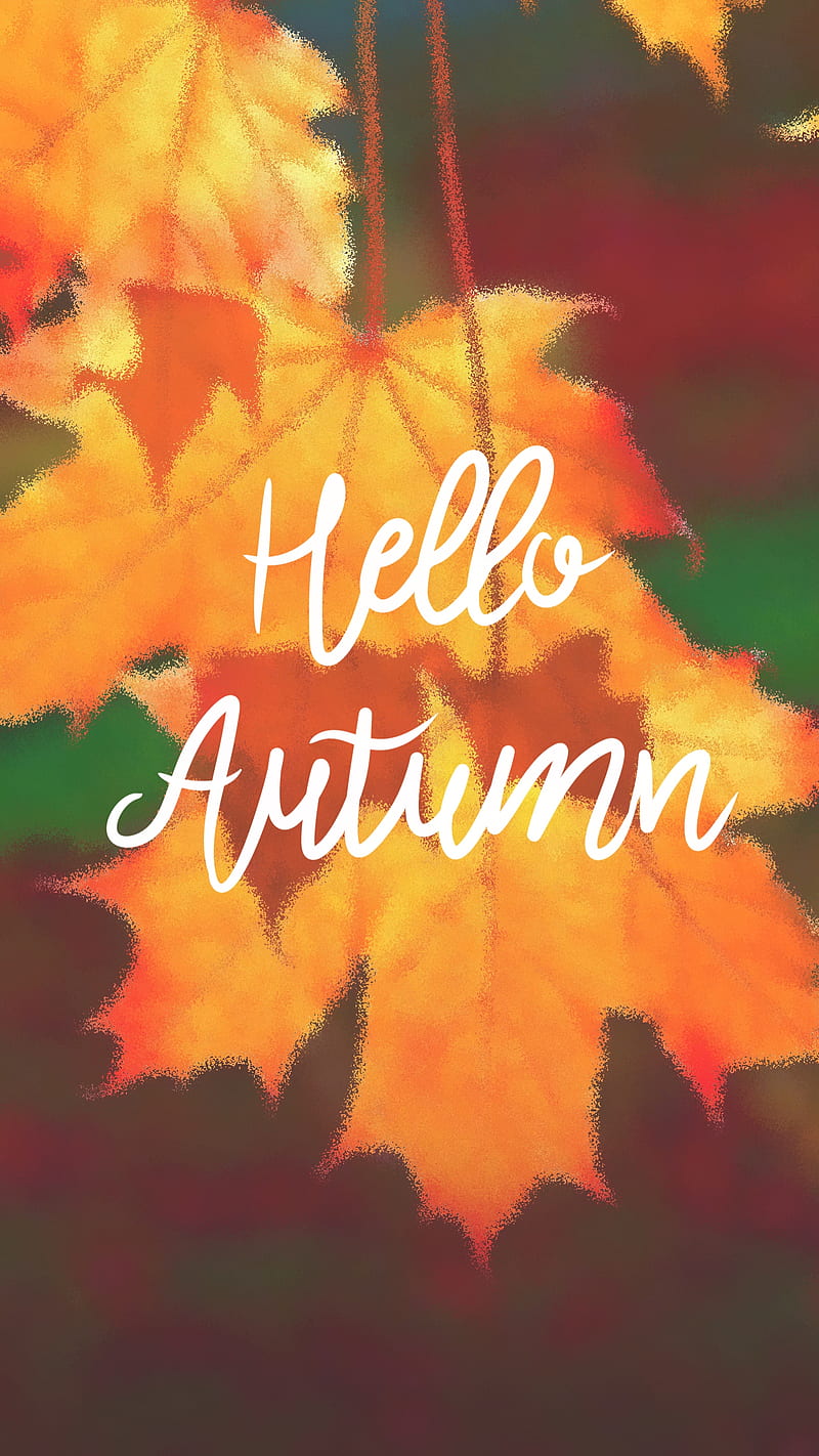hello autumn leaf, orange, HD phone wallpaper