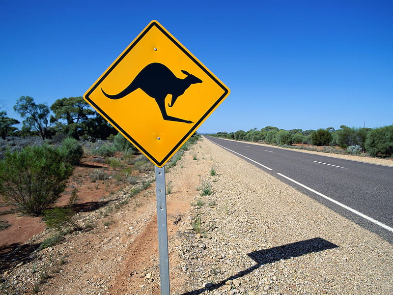 Kangaroo Crossing, australia, dirt, sign, blue sky, road, shrubs, HD wallpaper