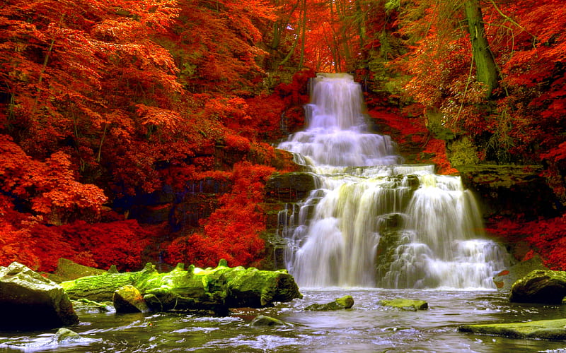 Forest waterfall, falling, greenery, bonito, leaves, water, plants, summer,  waterfall, HD wallpaper | Peakpx