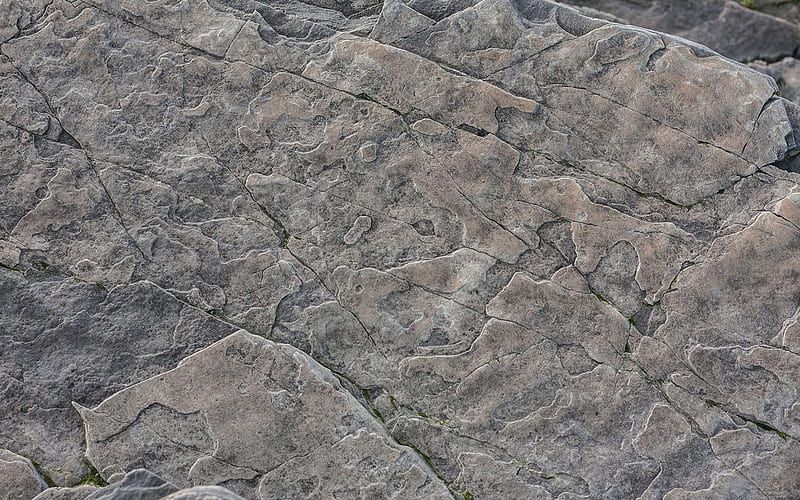 gray stone texture, natural rock texture, gray rocks, macro, gray stones, stone backgrounds, gray stone, stone textures, gray backgrounds, HD wallpaper