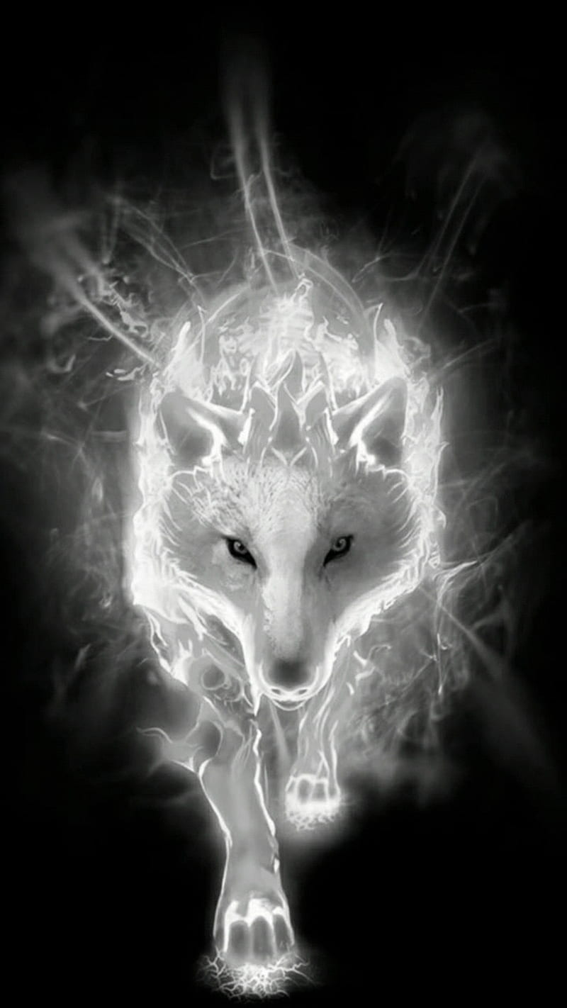 White fox, HD phone wallpaper