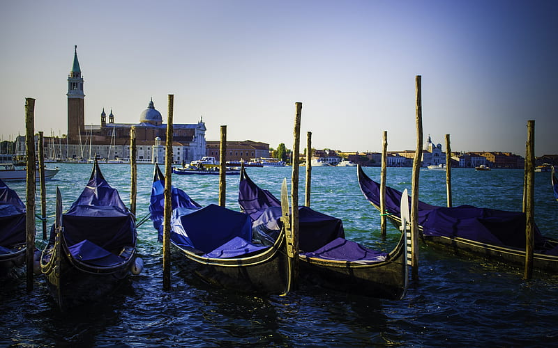 Venice morning, gondolas, Italy, HD wallpaper