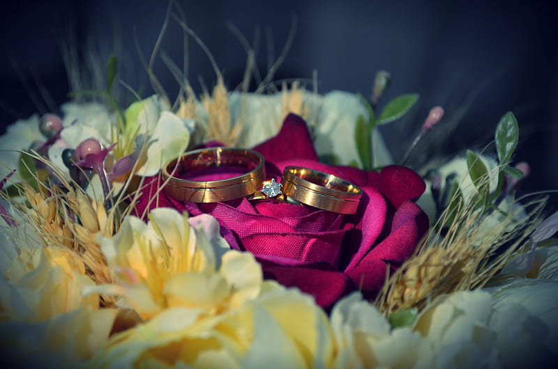 Wedding, wedding rings, bouquet, engagement ring, HD wallpaper | Peakpx