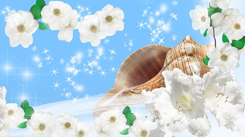 Sun and Sea Shine Flowers, stars, seashell, flowers, silk, conch, sea shell, sky, blue, HD wallpaper