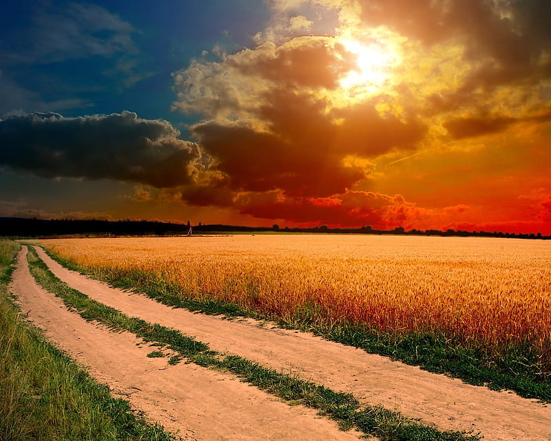 Fields, farm, field, roadside, sunset, HD wallpaper