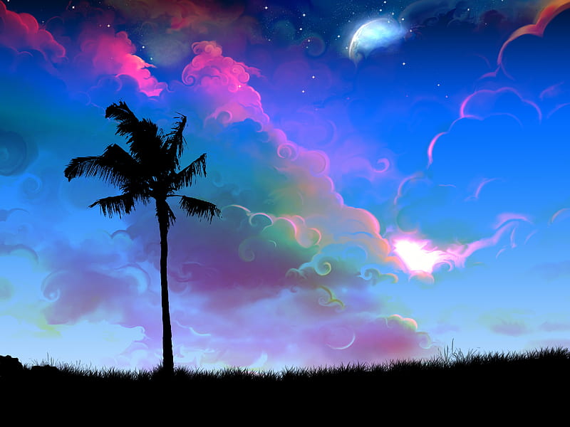 palm, tree, art, twilight, night, HD wallpaper