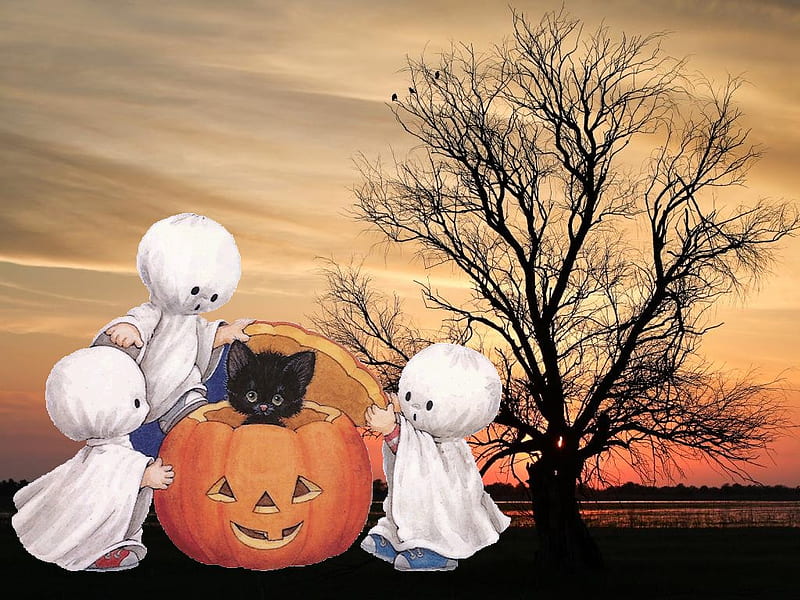 Halloween children, pumpkin and black cat, october 31, witch, halloween, cat, cute, tree, ghost, pumpkin, child, kitten, HD wallpaper