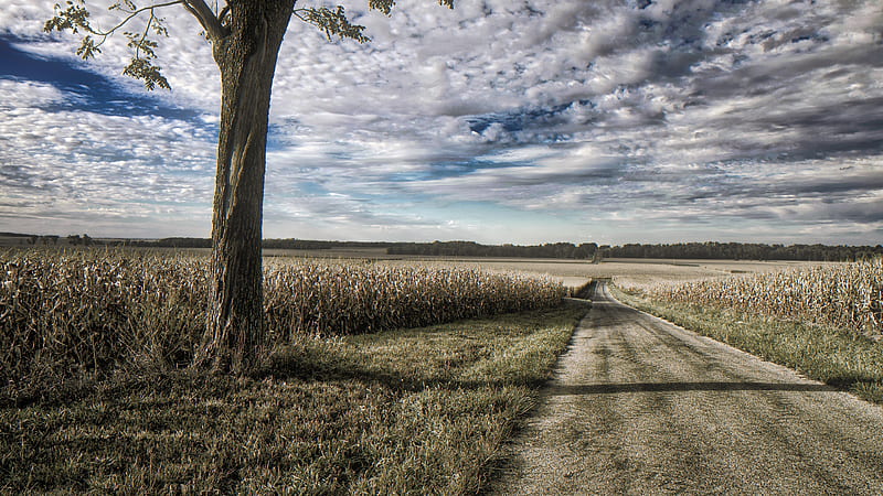 Horizon Illinois Road Between Field Under Cloudy Sky Nature, HD wallpaper
