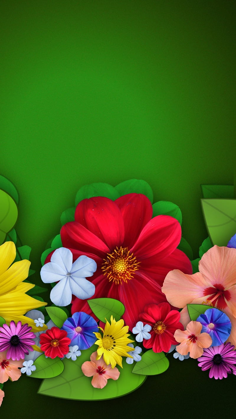 flowers, colorful, green, HD phone wallpaper