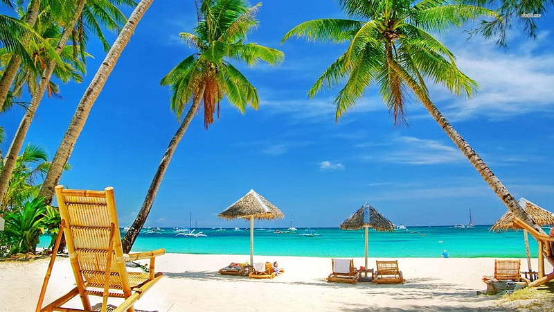 I'd rather be south of the equator for Christmas!, beach, Palm trees, Tropics, Summer, HD wallpaper