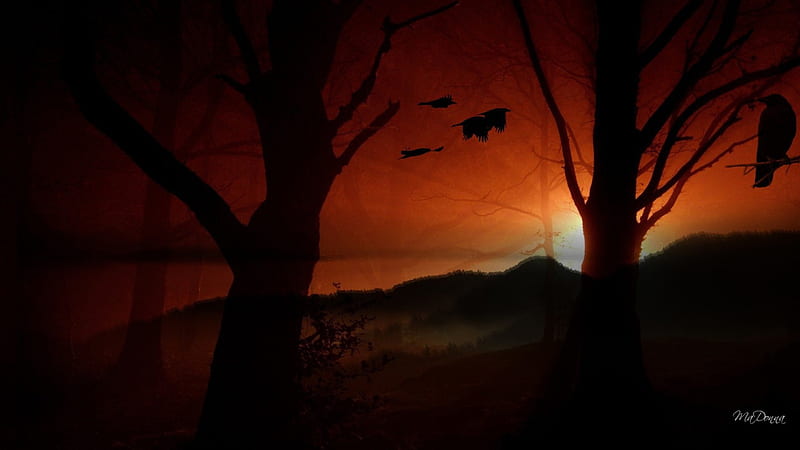 Darkness, fall, haunting, autumn, sun, halloween, fog, moon, gothic, shadows, forest, raven, birds, sky, trees, mist, winter, goth, fire, mountains, dark, clouds orange, HD wallpaper