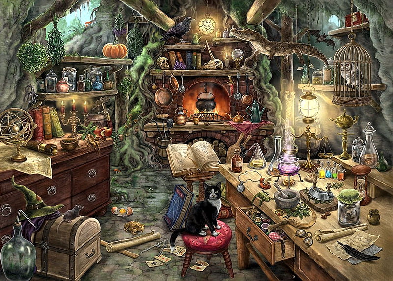 French witch kitchen, cat, utensils, halloween, raven, pumpkin, book, HD wallpaper