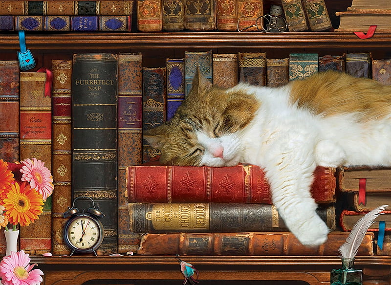Sleeping cat, library, books, paw, painting, shelves, cat, pisici, art, sleep, pictura, HD wallpaper
