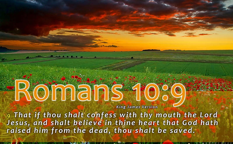 Romans 10:9, Christian, scripture background, bible verse, Jesus, holy, bible  verse, HD wallpaper | Peakpx
