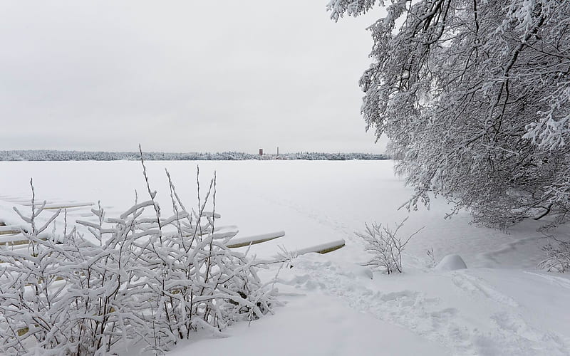 winter littoinen finland-Winter natural landscape, HD wallpaper