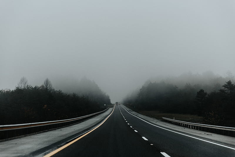 road, fog, asphalt, marking, movement, HD wallpaper