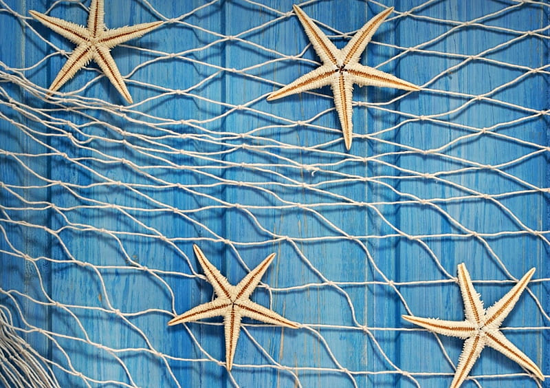 Catching stars, texture, summer, wood, starfish, blue, HD wallpaper