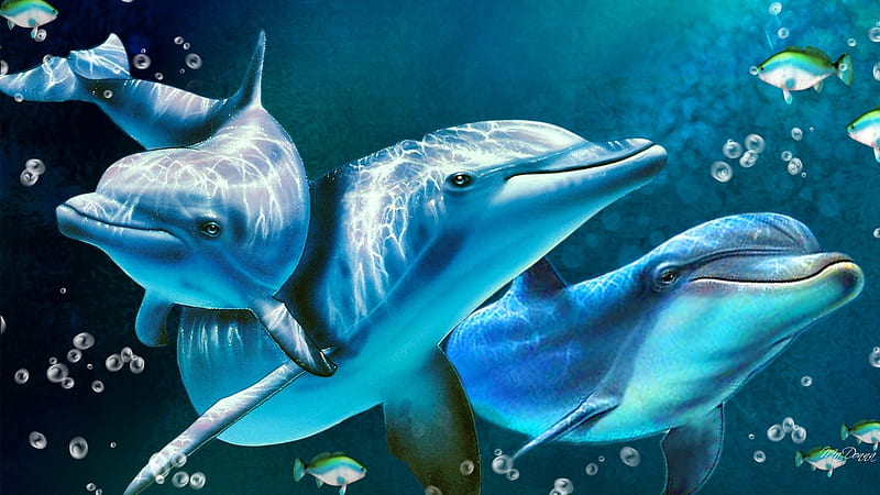 Delightful Dolphins, water, dolphins, marine mammals, ocean, aqua, sea, blue, HD wallpaper