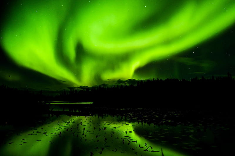 Aurora Borealis Northern Light, northern-lights, nature, aurora, HD wallpaper