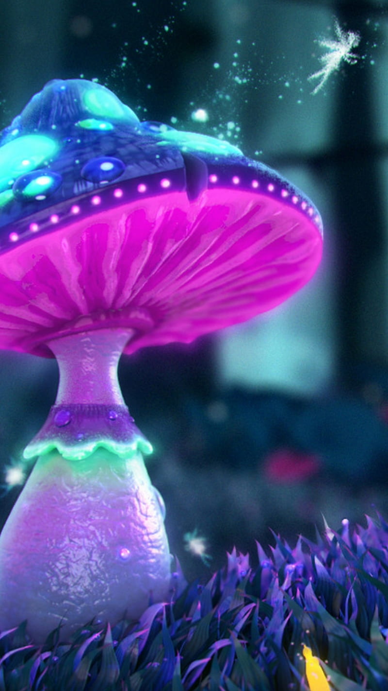 Mushroom , magic, mushrooms, purple, HD phone wallpaper
