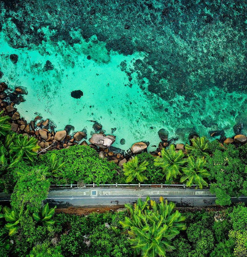 coast, palm trees, aerial view, road, stones, HD phone wallpaper