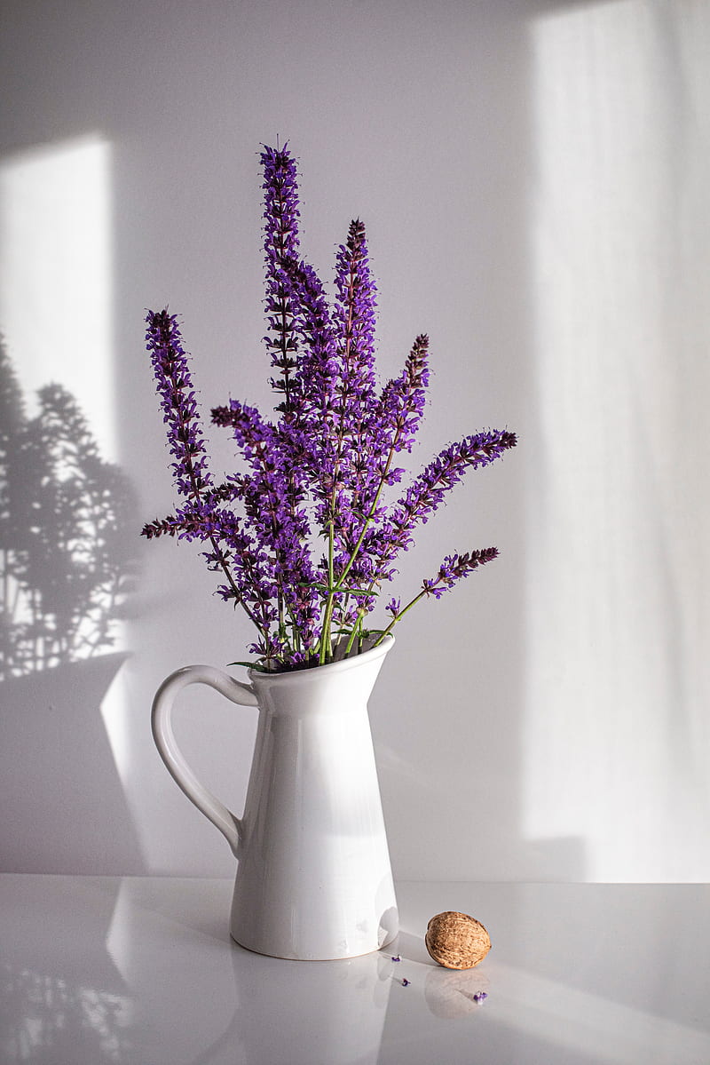 lavender, bouquet, vase, nut, white, HD phone wallpaper