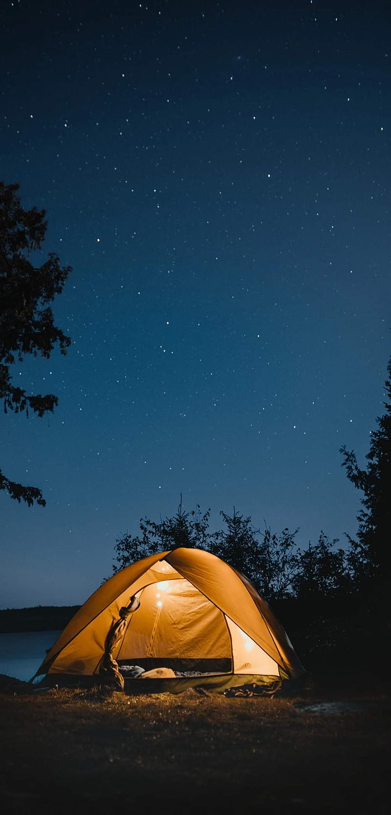 Camping, nature, tent, windows, HD phone wallpaper